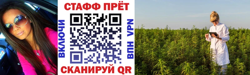 Цена Гуково Псилоцибиновые грибы  А ПВП  Мефедрон  Каннабис  ГАШИШ 