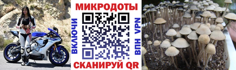 Псилоцибиновые грибы ЛСД Гуково